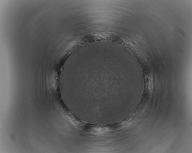 X0000111600712200907231236