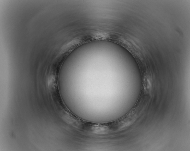 X0000111600714200907231236