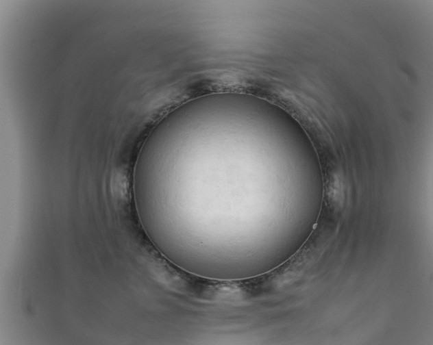 X0000111600715200907231235