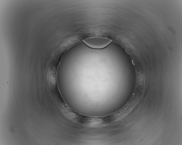 X0000111600719200907231235