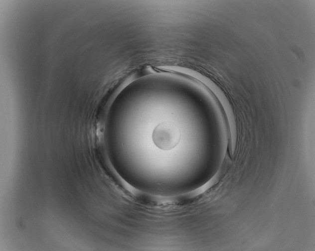 X0000111600720200907231235