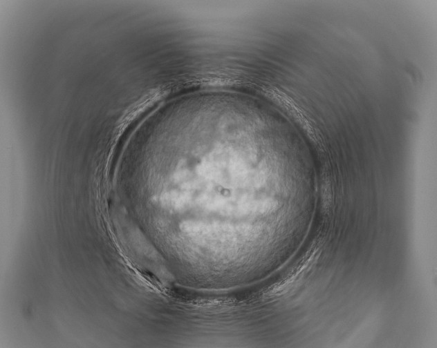 X0000111600721200907231235
