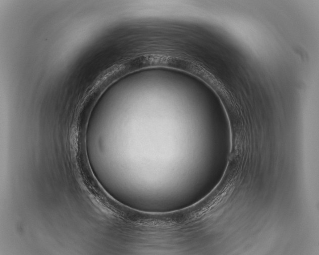 X0000111600722200907231235