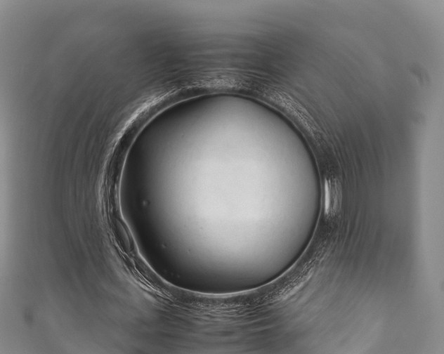 X0000111600723200907231235