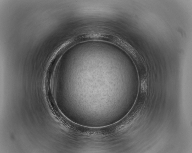 X0000111600724200907231235