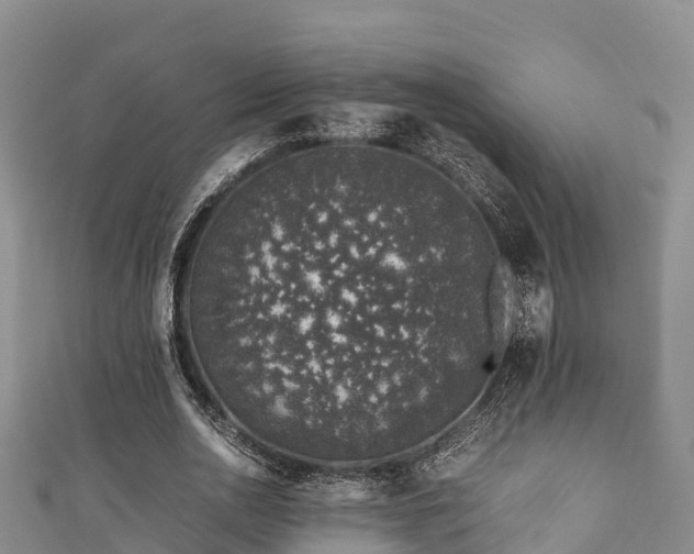 X0000111600726200907231235
