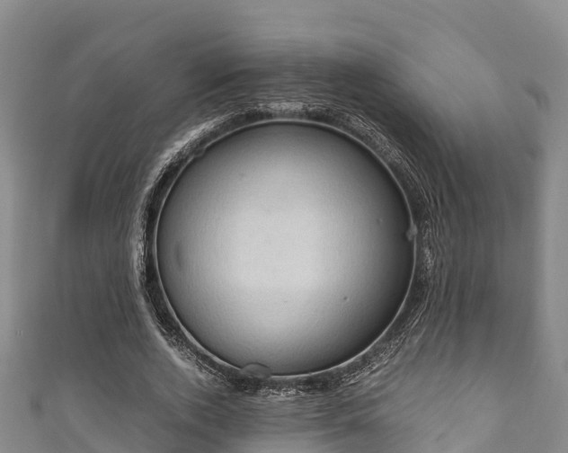 X0000111600728200907231235
