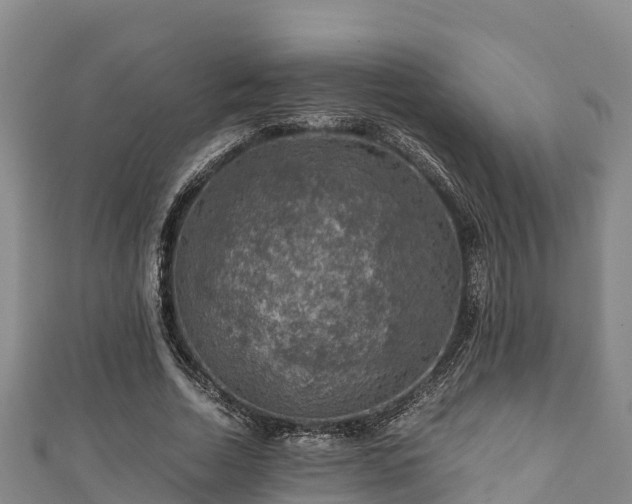 X0000111600730200907231235