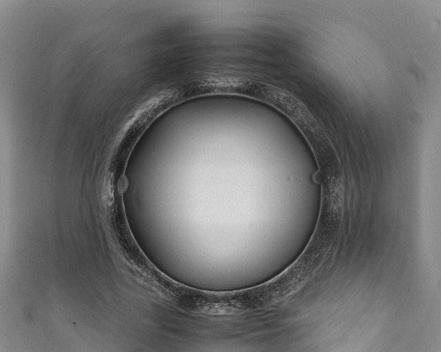 X0000111600731200907231235