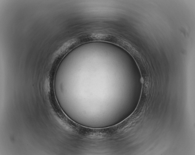 X0000111600734200907231235