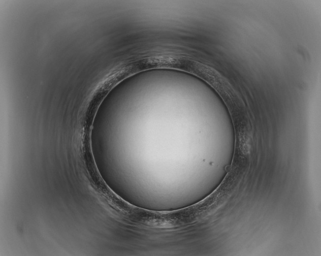 X0000111600735200907231235