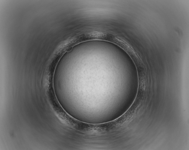 X0000111600736200907231235