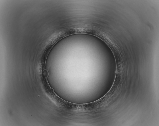 X0000111600738200907231235