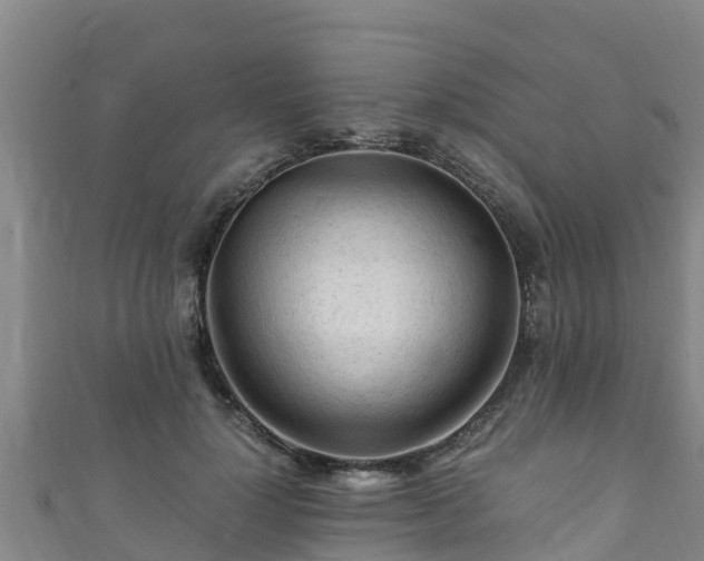 X0000111600748200907231235