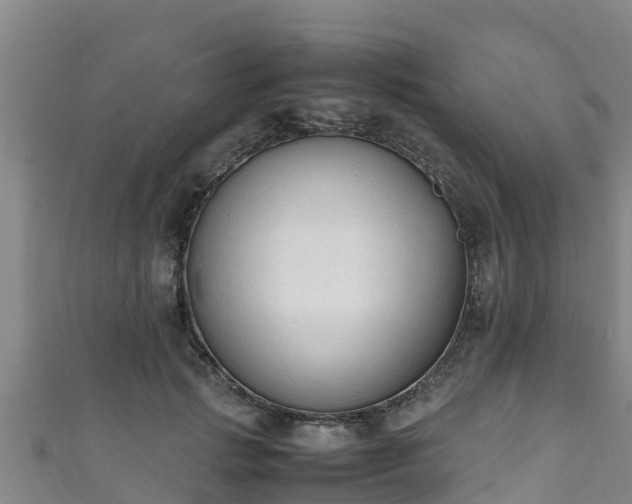 X0000111600749200907231235