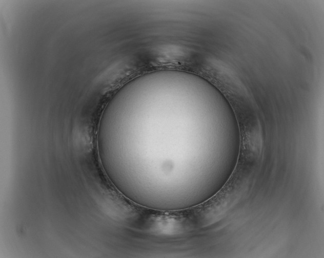 X0000111600751200907231235