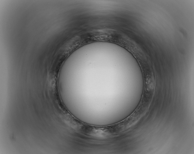 X0000111600753200907231235