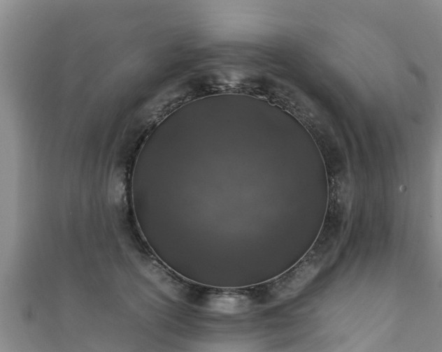 X0000111600754200907231235