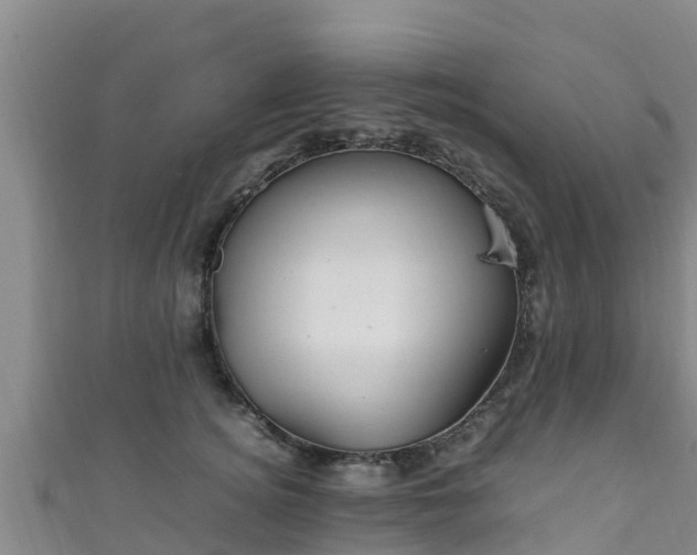 X0000111600756200907231235
