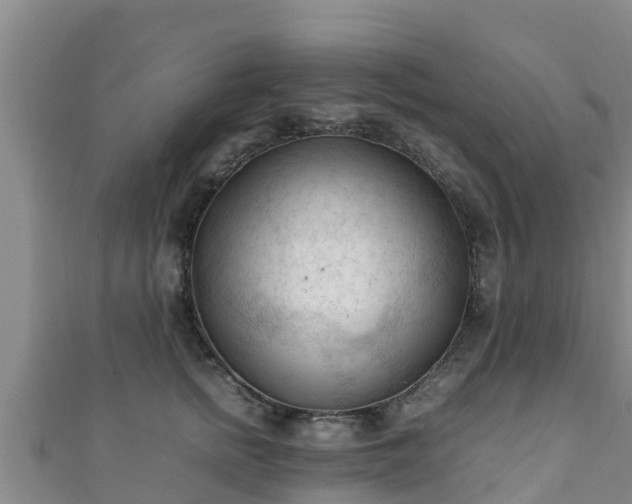 X0000111600758200907231235