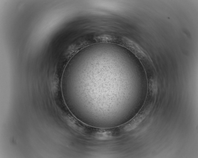 X0000111600760200907231235