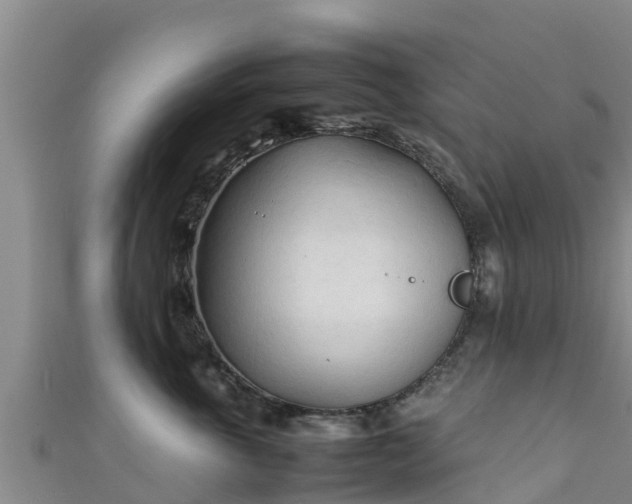 X0000111600763200907231235
