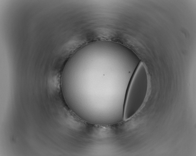 X0000111600768200907231235