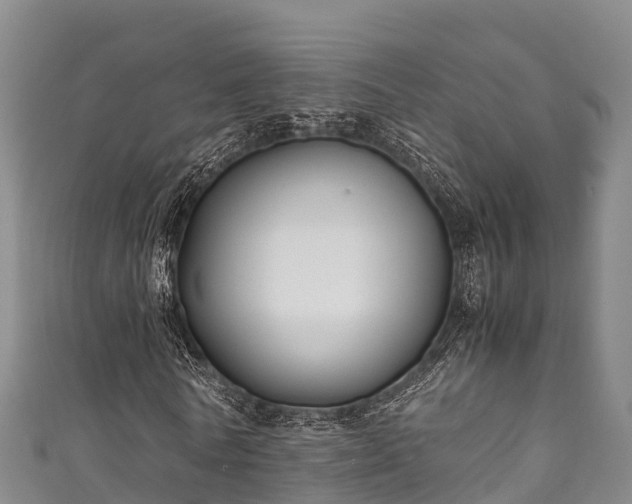 X0000111600770200907231235