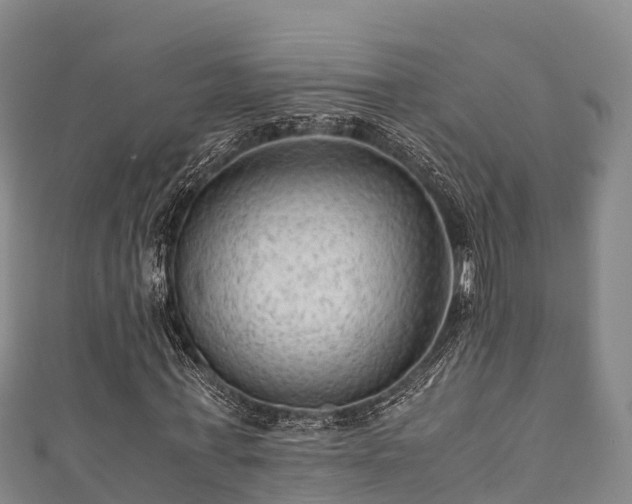 X0000111600771200907231235