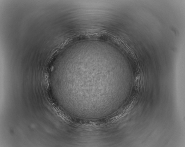 X0000111600772200907231235