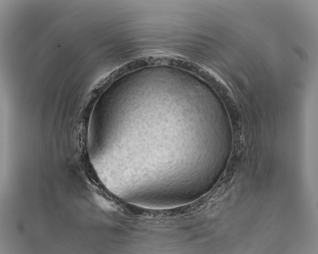 X0000111600775200907231235