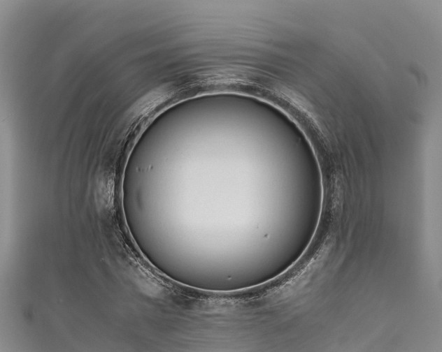 X0000111600777200907231235