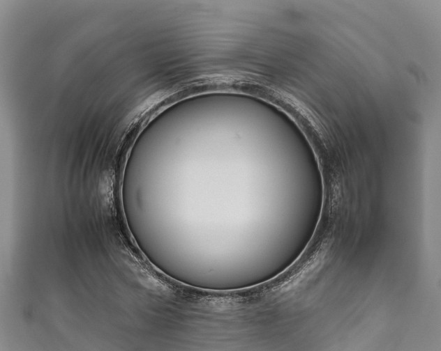 X0000111600778200907231235