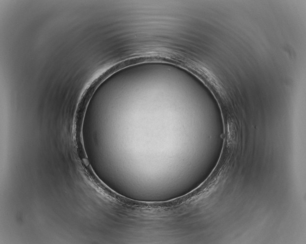 X0000111600780200907231235