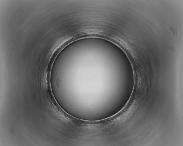 X0000111600782200907231235
