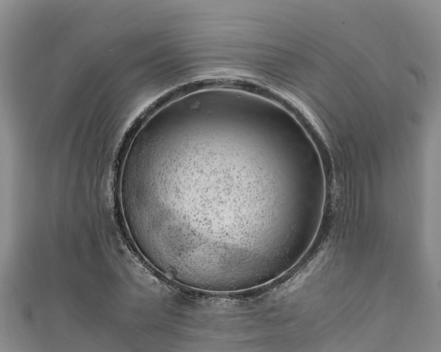 X0000111600783200907231235
