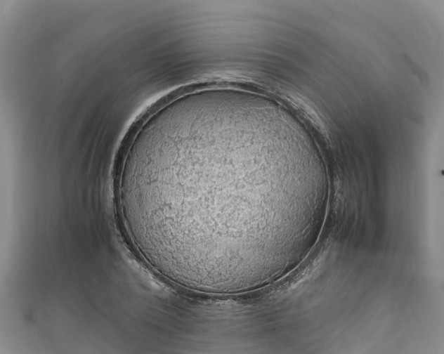 X0000111600784200907231235