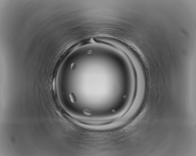 X0000111600785200907231235