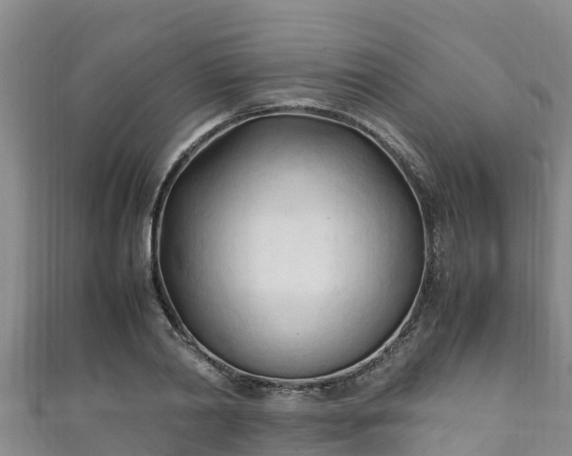X0000111600790200907231235