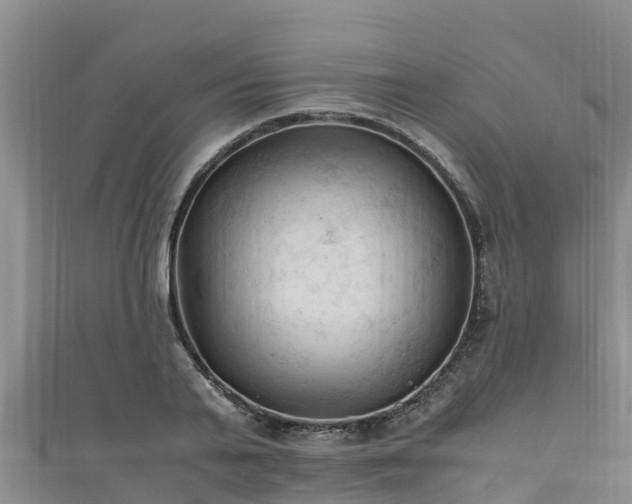 X0000111600791200907231235