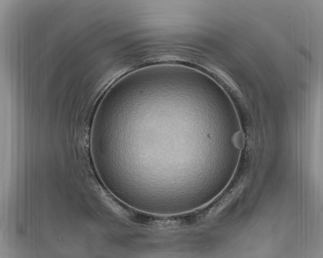 X0000111600793200907231234