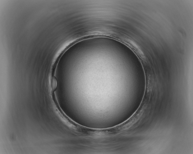 X0000111600796200907231234