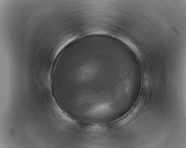X0000111600806200907231234