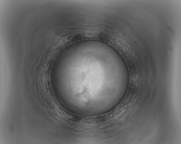 X0000111600817200907231234