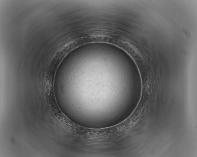 X0000111600821200907231234