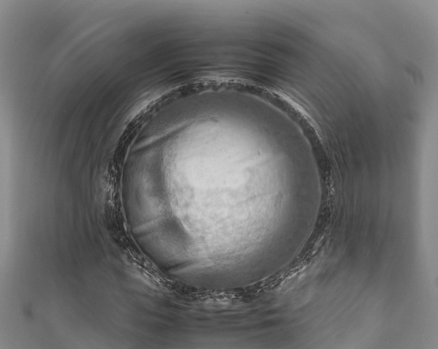 X0000111600823200907231234