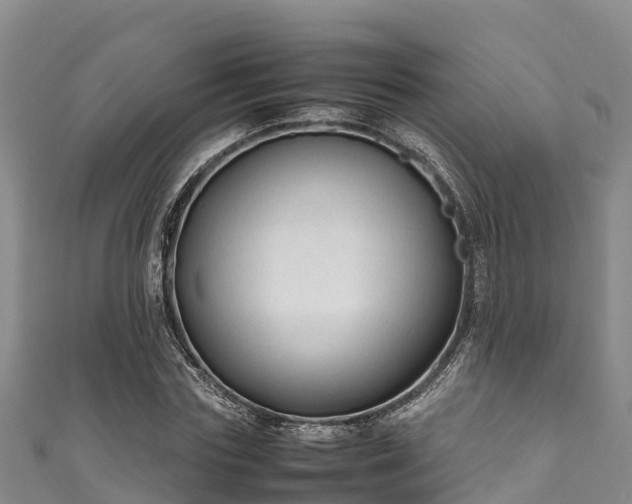 X0000111600827200907231234