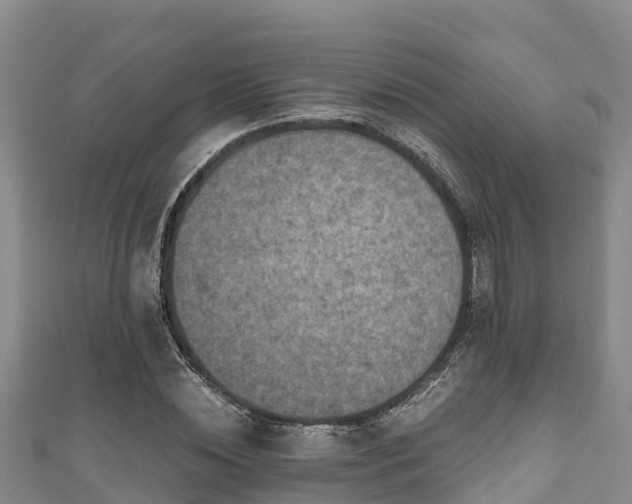 X0000111600828200907231234