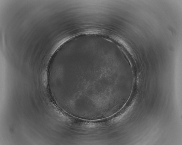 X0000111600829200907231234