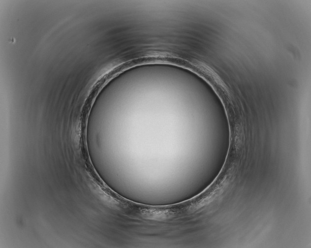 X0000111600831200907231234